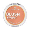 COLORETE BLUSH CRUSH 10 ESSENCE 