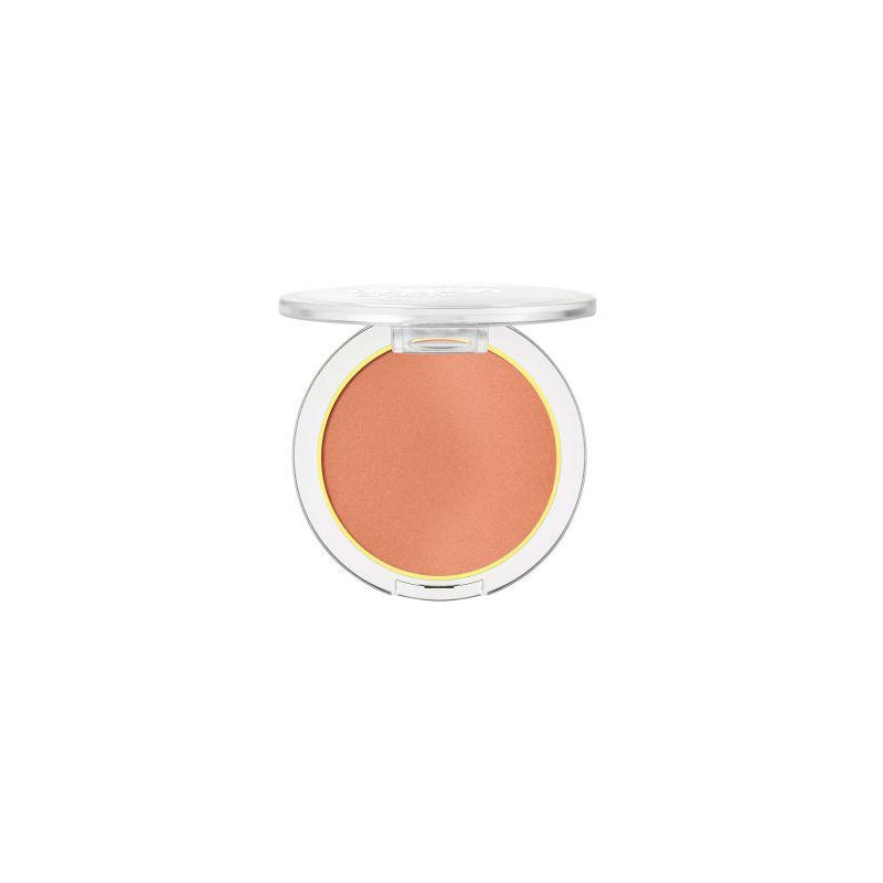 COLORETE BLUSH CRUSH 10 ESSENCE 