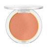 COLORETE BLUSH CRUSH 10 ESSENCE 