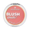 COLORETE BLUSH CRUSH 20 ESSENCE 