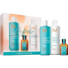 BOX REPAIR  MOROCCANOIL 