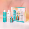 BOX REPAIR  MOROCCANOIL 