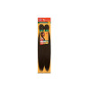 EXTENSIONES KANEKALON  2  X-PRESSION