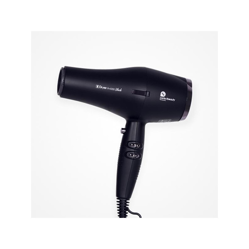 SECADOR PROFESIONAL CON IONES BLACK R-4000