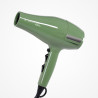SECADOR PROFESIONAL WATERCRESS R-3200 PERFECT B