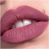 PERFILADOR DE LABIOS PLUMPING 060 CATRICE 