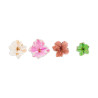 NATURA FLOWERS TEA EDITION  INOCOS