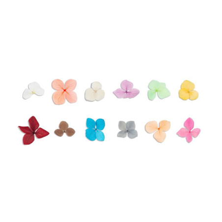 NAILS FLOWERS WINE EDITION INOCOS