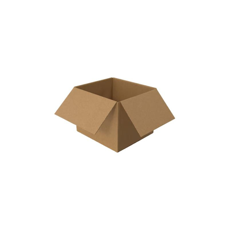 CAJAS CARTON LOGO 