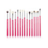 SET BROCHAS 15 PIEZAS JESSUP T197 ROSE CARMIN/SILV