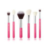 SET 6 PINCELES ROSE CARMIN /SILVER JESSUP